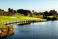 Book a Tee Time at the Best Golf Course in South Florida