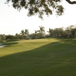 perfectly manicured golf course fairways