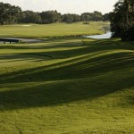 Ladies Golf, Women's Golf South Florida